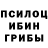 Псилоцибиновые грибы мухоморы Arjay Recana