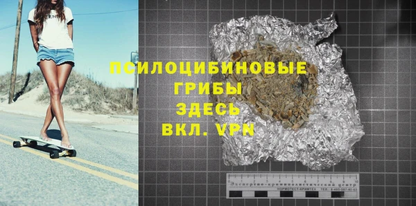 ГАЛЛЮЦИНОГЕННЫЕ ГРИБЫ Баксан