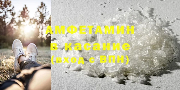ГАЛЛЮЦИНОГЕННЫЕ ГРИБЫ Баксан